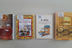 95126462_3062187870512285_4352513853402120192_n