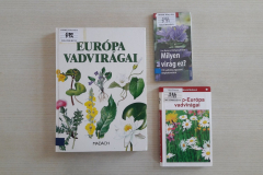 95218472_3062187747178964_62545963759173632_n