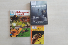 95221351_3062187753845630_3684552653968244736_n