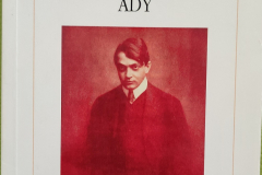 ady01