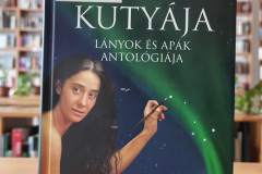 apak03