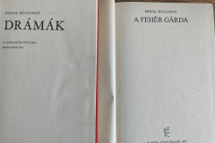 Bulgakov05.5