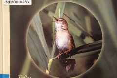 enekesmadarak03 enekesmadarak03