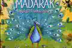 enekesmadarak05 enekesmadarak05