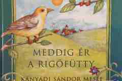 enekesmadarak11 enekesmadarak11