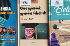 erzint06