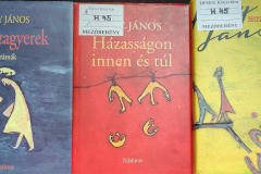 hay02