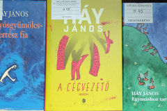 hay03