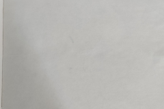 290823739_5386584394739276_6043313205301546374_n