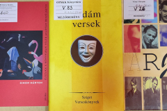 versek13