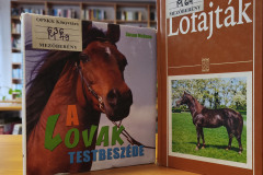 lovak01