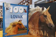 lovak04