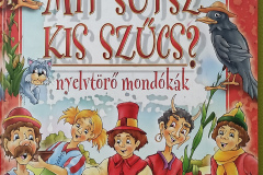 mondok13