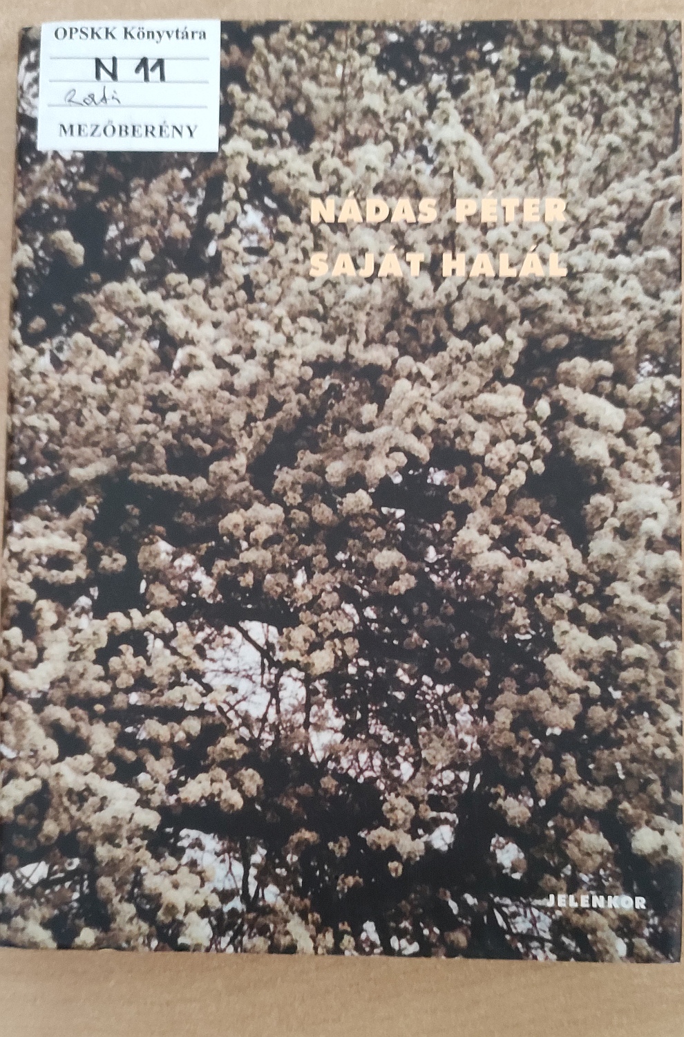 nadas04