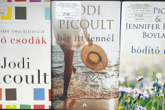 Picoult01