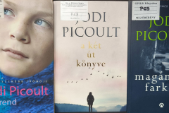 Picoult03