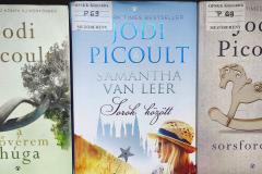 Picoult04