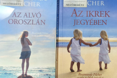 Pilcher02
