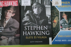 hawking11