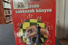 sakk13