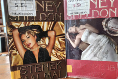 Sheldon01