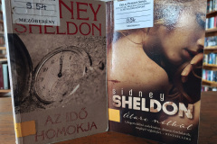 Sheldon03