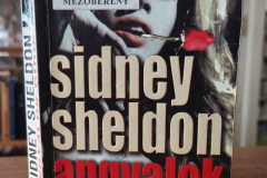 Sheldon04