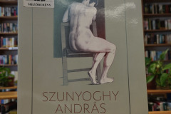 szunyogh05
