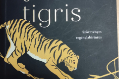 tigris15